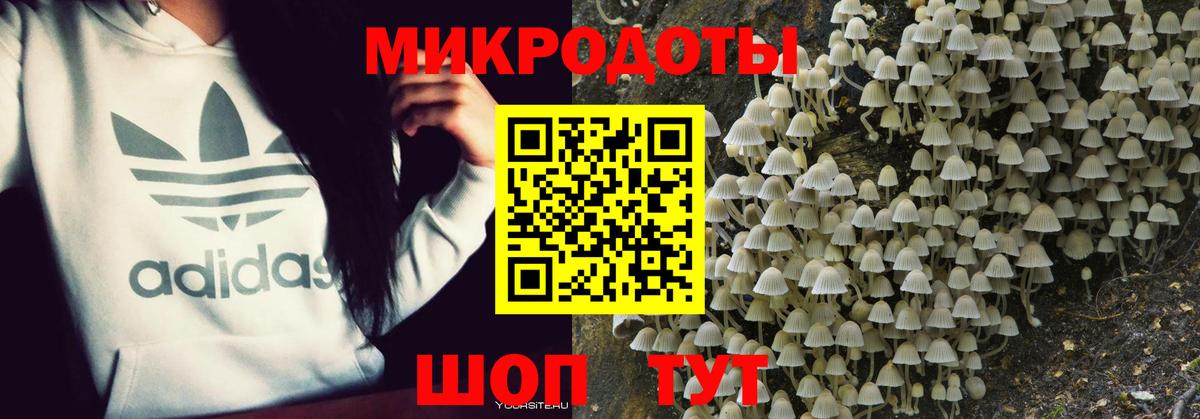 Кунгур  Галлюциногенные грибы Cubensis  Вход с VPN 